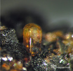 Eifel Mineralien Mendig Apatit