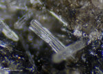 Eifel Mineralien Mendig Apatit