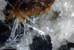 Eifel Mineralien Mendig Apatit