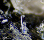 Eifel Mineralien Mendig Fluorapatit