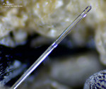 Eifel Mineralien Mendig Fluorapatit