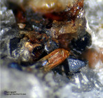Eifel Mineralien Mendig Fluorapatit