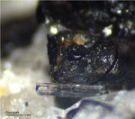 Eifel Mineralien Mendig Fluorapatit