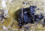 Eifel Mineralien Mendig Ilmenorutil(Var. Rutil)