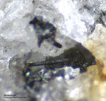 Eifel Mineralien Mendig Ilmenorutil(Var. Rutil)