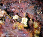 Eifel Mineralien Mendig Jarosit