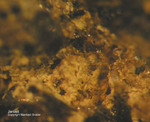 Eifel Mineralien Mendig Jarosit