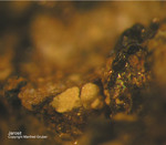 Eifel Mineralien Mendig Jarosit