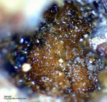 Eifel Mineralien Mendig Jarosit