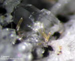 Eifel Mineralien Mendig Lavenit