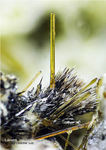 Eifel Mineralien Mendig Lavenit