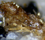 Eifel Mineralien Mendig Lavenit