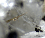 Eifel Mineralien Mendig Lavenit