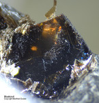 Eifel Mineralien Mendig Muskovit
