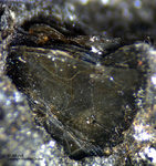 Eifel Mineralien Mendig Muskovit
