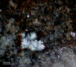 Eifel Mineralien Mendig Dawsonit