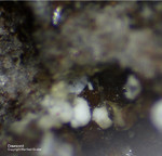 Eifel Mineralien Mendig Dawsonit