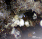 Eifel Mineralien Mendig Dawsonit