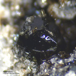 Eifel Mineralien Mendig Hypersthen