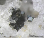 Eifel Mineralien Mendig Magnetit