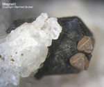 Eifel Mineralien Mendig Magnetit