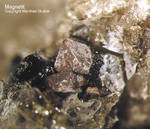 Eifel Mineralien Mendig Magnetit
