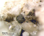 Eifel Mineralien Mendig Magnetit