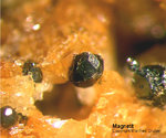 Eifel Mineralien Mendig Magnetit