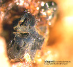 Eifel Mineralien Mendig Magnetit
