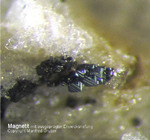 Eifel Mineralien Mendig Magnetit