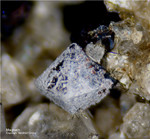 Eifel Mineralien Mendig Magnetit