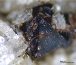 Eifel Mineralien Mendig Magnetit