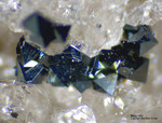 Eifel Mineralien Mendig Magnetit