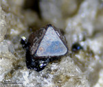 Eifel Mineralien Mendig Magnetit