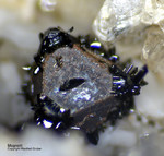 Eifel Mineralien Mendig Magnetit