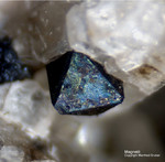 Eifel Mineralien Mendig Magnetit