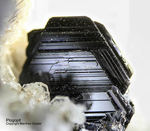 Eifel Mineralien Mendig Phlogopit