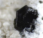 Eifel Mineralien Mendig Phlogopit