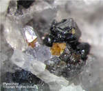 Eifel Mineralien Mendig Pyrochlor