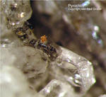 Eifel Mineralien Mendig Pyrochlor