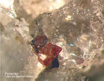 Eifel Mineralien Mendig Pyrochlor