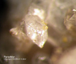 Eifel Mineralien Mendig Pyrochlor