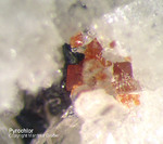 Eifel Mineralien Mendig Pyrochlor