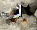 Eifel Mineralien Mendig Pyrochlor