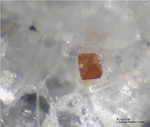 Eifel Mineralien Mendig Pyrochlor