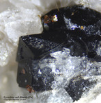 Eifel Mineralien Mendig Pyrochlor