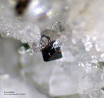 Eifel Mineralien Mendig Pyrochlor