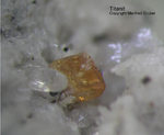 Eifel Mineralien Mendig Titanit