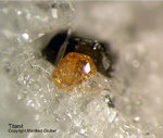 Eifel Mineralien Mendig Titanit