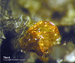 Eifel Mineralien Mendig Titanit
